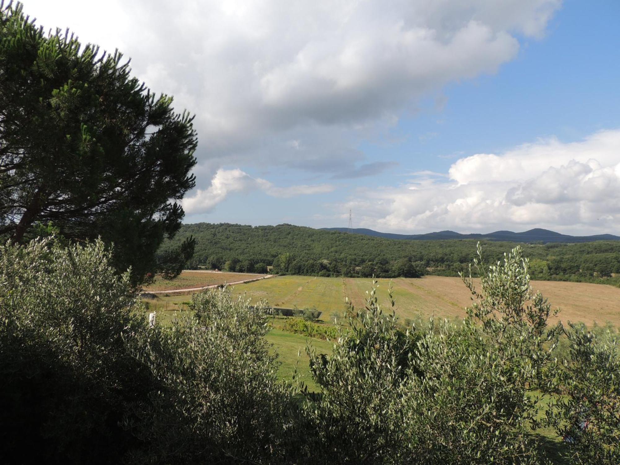 Agriturismo Podere Borgognano Massa Marittima Habitación foto