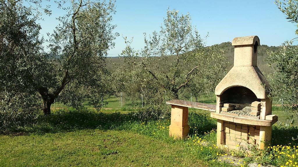 Agriturismo Podere Borgognano Massa Marittima Exterior foto