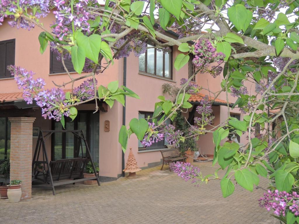 Agriturismo Podere Borgognano Massa Marittima Exterior foto